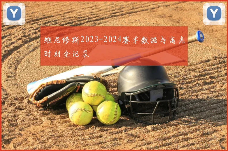 维尼修斯2023-2024赛季数据与高光时刻全记录