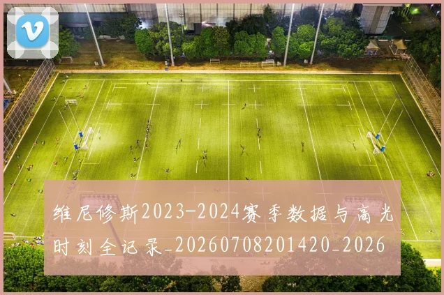 维尼修斯2023-2024赛季数据与高光时刻全记录_20260708201420_20260803142940