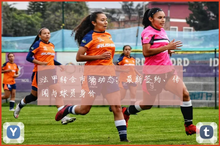 法甲转会市场动态:最新签约、传闻与球员身价