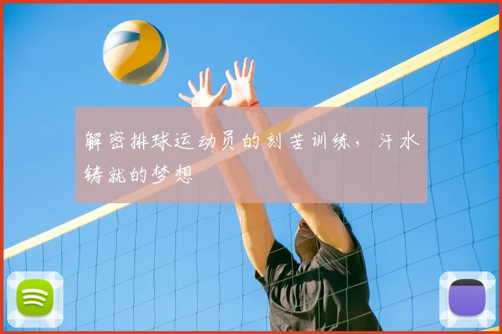 解密排球运动员的刻苦训练，汗水铸就的梦想